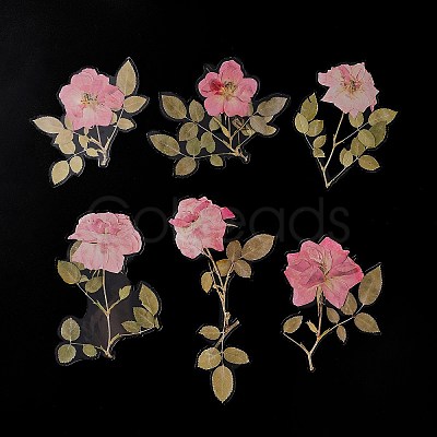 6Pcs Plant PET Adhesive Waterproof Stickers DIY-K074-01B-1
