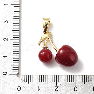 Brass Resin Pendants LS-KK-D383-01G-03-1