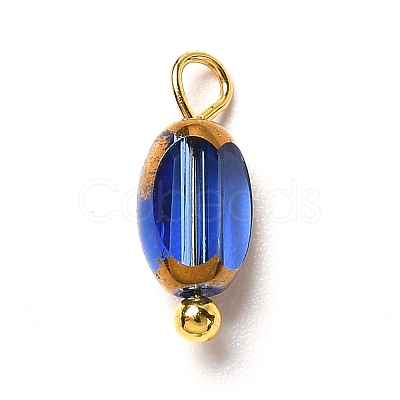 Electroplate Glass Pendants PALLOY-JF00895-1