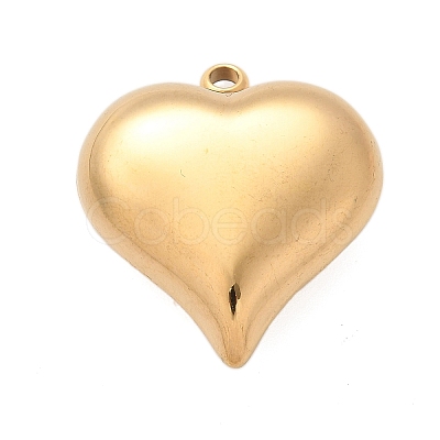 304 Stainless Steel Pendants STAS-Q349-02E-G-1