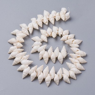 Natural Spiral Shell Beads Strands BSHE-I016-07-1