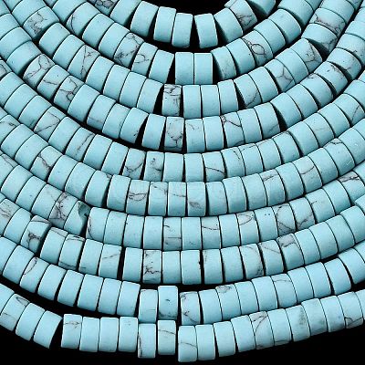 Dyed Synthetic Turquoise Beads Strands G-Z089-A04-F-1