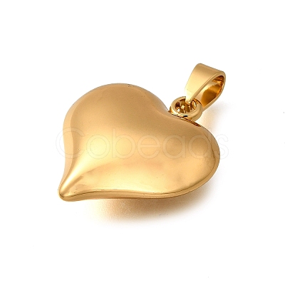 304 Stainless Steel Pendants STAS-H200-01G-10-1