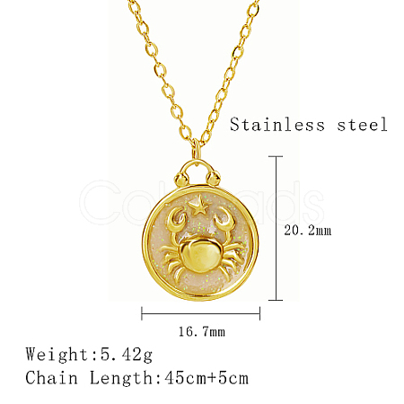 304 Stainless Steel Enamel Constellation Pendant Necklaces DJ0261-7-1-1