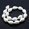 Electroplate Shell Pearl Beads Strands BSHE-G010-16x25mm-01-3