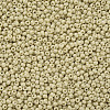 11/0 FGB Grade A Baking Paint Glass Seed Beads X-SEED-N001-A-1033-2