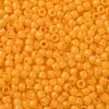 TOHO Round Seed Beads SEED-TR11-0148F-2