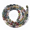 Natural Indian Agate Beads Strands X-G-S364-014-2