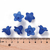 Transparent Acrylic Beads PLF018-10-4
