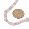 Natural Rose Quartz Chip Beaded Necklace NJEW-JN04615-03-3