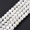 Natural Rainbow Moonstone Beads Strands G-I249-B04-02-5