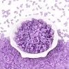 FGB Frosted Transparent Glass Seed Beads SEED-N013-05A-07-2