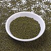MIYUKI Round Rocailles Beads SEED-X0057-RR4519-2