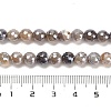 Electroplated Natural Botswana Agate Round Beads Strands G-L598-A03-01-5