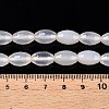 Natural White Agate Beads Strands G-T138-180A-5