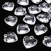 Transparent Acrylic Pendants TACR-T024-03B-205-1