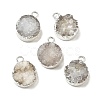 Natural Druzy Quartz Charms G-P396-07S-03-1