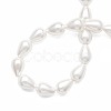 Shell Pearl Beads Strands PEAR-T005-03-4