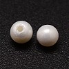 Shell Pearl Beads X-BSHE-L031-01-4mm-2