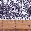 MIYUKI Delica Beads X-SEED-J020-DB0464-4
