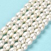 Natural Cultured Freshwater Pearl Beads Strands PEAR-E016-091-2