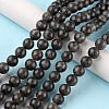 Natural Labradorite Beads Strands G-G0003-C03-2