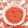 Baking Paint Glass Seed Beads SEED-A033-04F-4