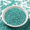 Opaque Glass Seed Beads SEED-S042-22B-04-2