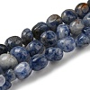 Natural Blue Spot Jasper Bead Strands G-F465-53-1