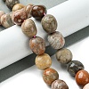 Natural Fossil Coral Beads Strands G-G117-A01-01-2