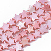 Freshwater Shell Beads Strands SHEL-T014-009F-1