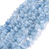 Dyed Natural Aquamarine Beads Strands G-G011-12-1