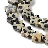 Natural Dalmatian Jasper Beads Strands G-B138-C08-01-3