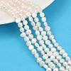 Natural Cultured Freshwater Pearl Beads Strands PEAR-P064-19G-06A-1