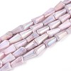 Anti-Tarnish Electroplate Glass Beads Strands GLAA-T025-27F-1