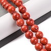 Synthetic Turquoise Beads Strands G-L605-G01-03D-2
