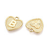 Alloy Pendants PALLOY-N157-001B-NR-2