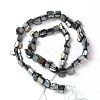 Erose Shell Beads Strands PBB070Y-2