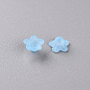 Transparent Acrylic Beads X-PL554-12-2
