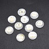 Shell Cabochons SSHEL-E568-B07-2
