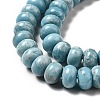 Natural Gemstone Beads Strands G-F730-04C-4