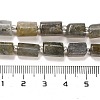Natural Labradorite Beads Strands G-G068-A10-01-5