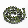 Natural Canadian Jade Beads Strands G-R446-8mm-08-2