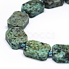Natural African Turquoise(Jasper) Beads Strands G-F725-01-3