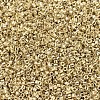 MIYUKI Delica Beads SEED-JP0008-DB0034-3