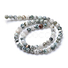 Natural Tree Agate Bead Strands X-G-R411-25-4mm-2