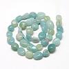 Natural Amazonite Beads Strands G-R445-8x10-21-2