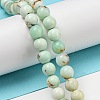 Natural Green Opal Beads Strands G-R494-A08-02-4