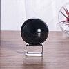 1Pc Glass Display Decorations DJEW-DJ0001-14-5