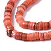 Natural Freshwater Shell Beads Strands SHEL-S278-025H-3